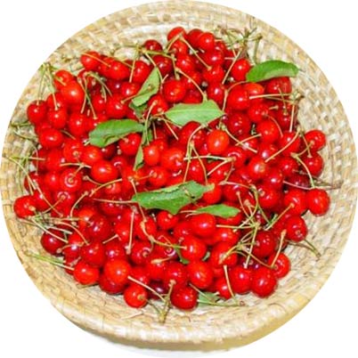 Gostilna Vovko: Hrustavka